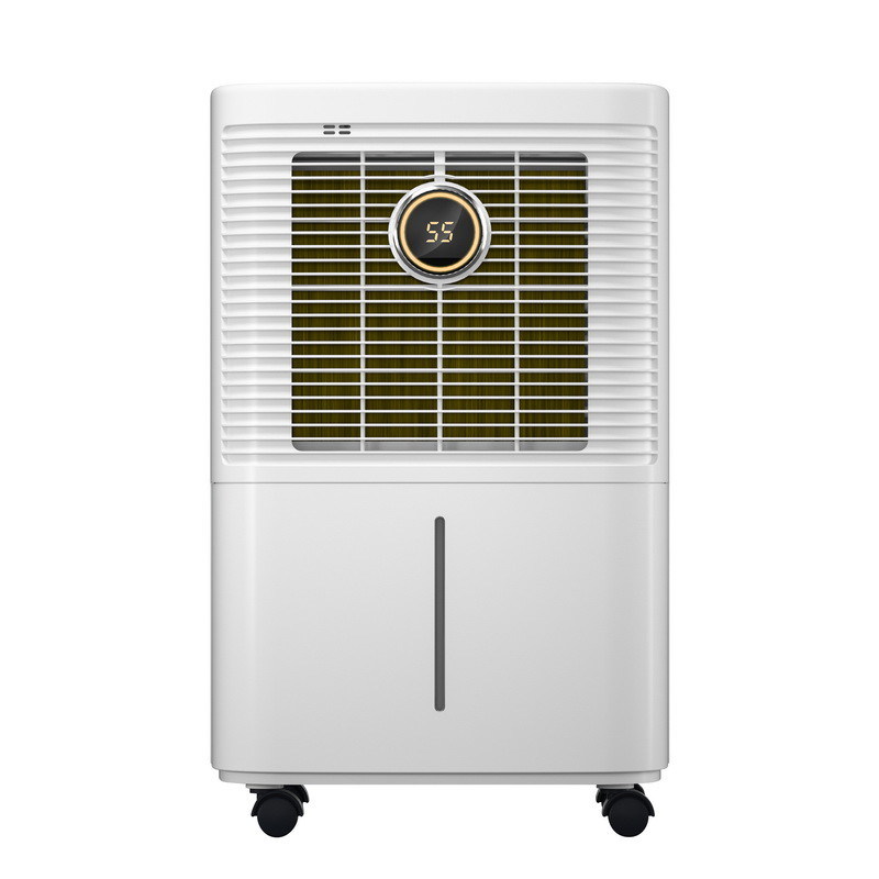 10 Liter Mini LED Lemari Dehumidifier Bisu Untuk Perlindungan Cetakan Ruang Terbatas Kecil Dengan Remote Control